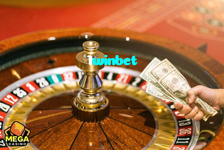available types of 1winbet bet including pre-match live express and system bets